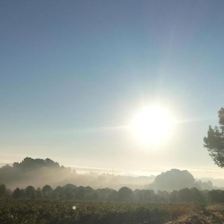 Gites A Moussan ,Domaine De La Barque A 5 Mins De Narbonne エクステリア 写真