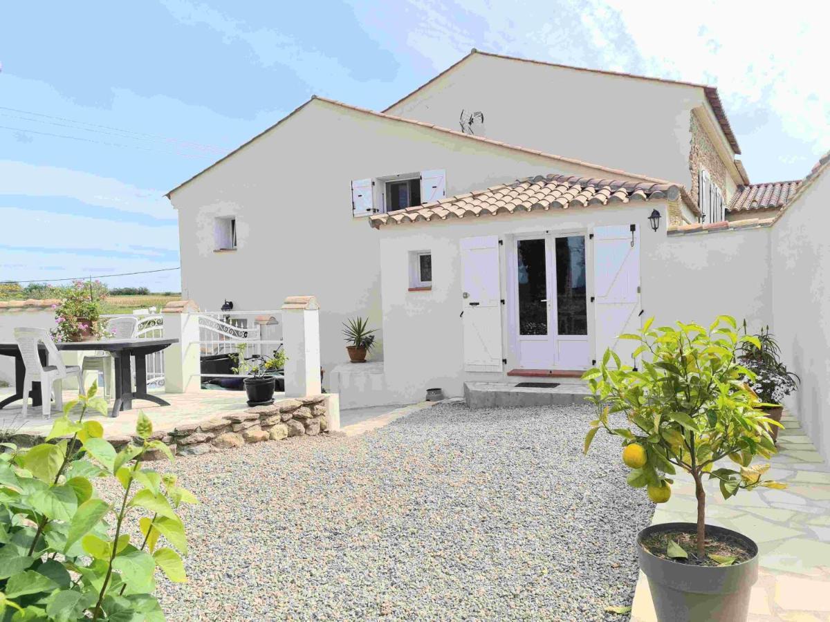 Gites A Moussan ,Domaine De La Barque A 5 Mins De Narbonne エクステリア 写真