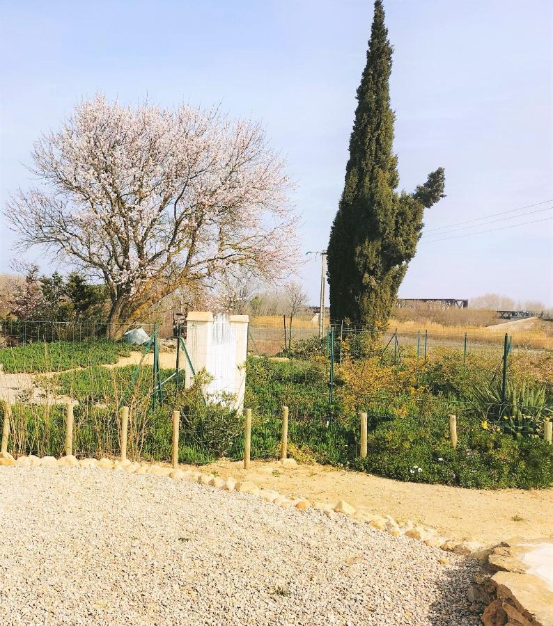 Gites A Moussan ,Domaine De La Barque A 5 Mins De Narbonne エクステリア 写真
