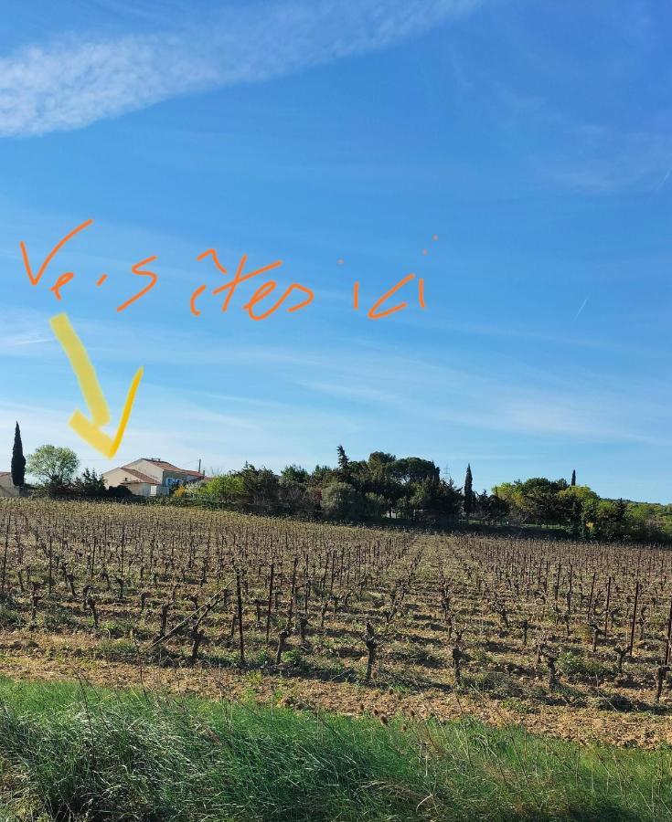 Gites A Moussan ,Domaine De La Barque A 5 Mins De Narbonne エクステリア 写真