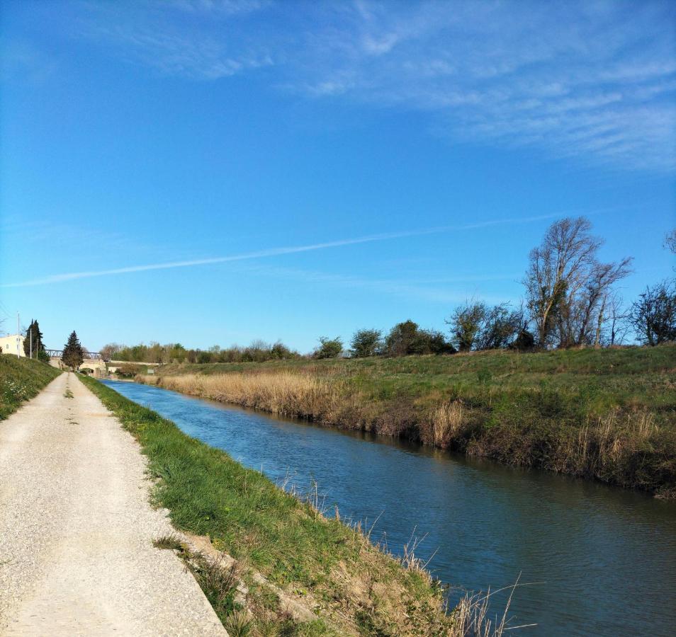 Gites A Moussan ,Domaine De La Barque A 5 Mins De Narbonne エクステリア 写真