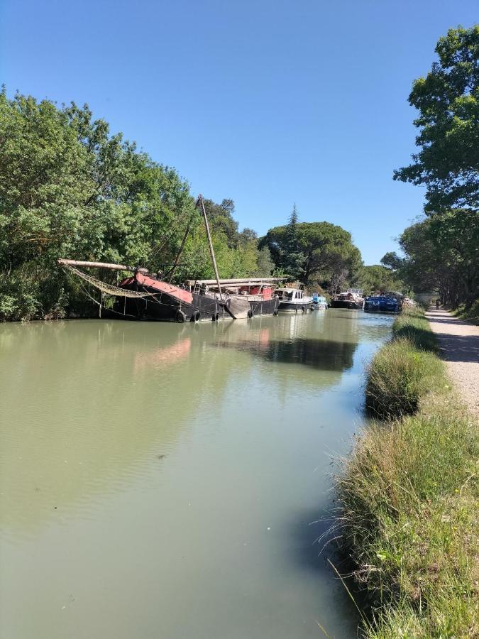 Gites A Moussan ,Domaine De La Barque A 5 Mins De Narbonne エクステリア 写真