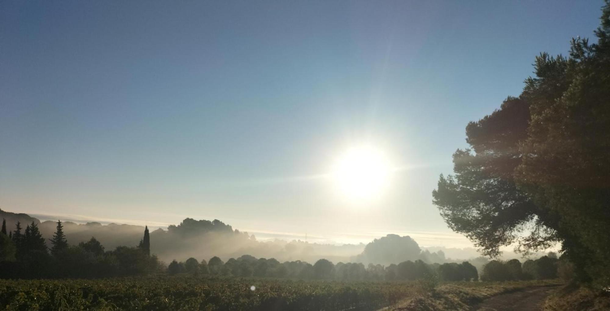 Gites A Moussan ,Domaine De La Barque A 5 Mins De Narbonne エクステリア 写真